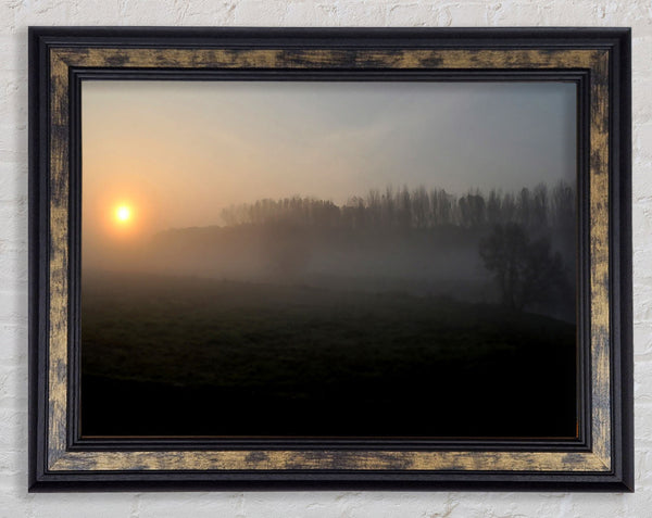 Morning Walk Framed Print
