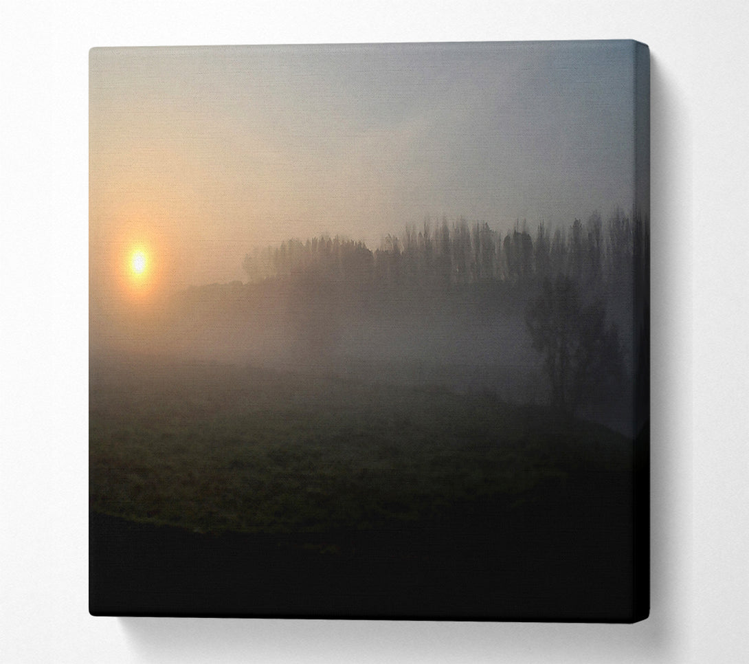  A Canvas Print of Morning Walk Canvas Print