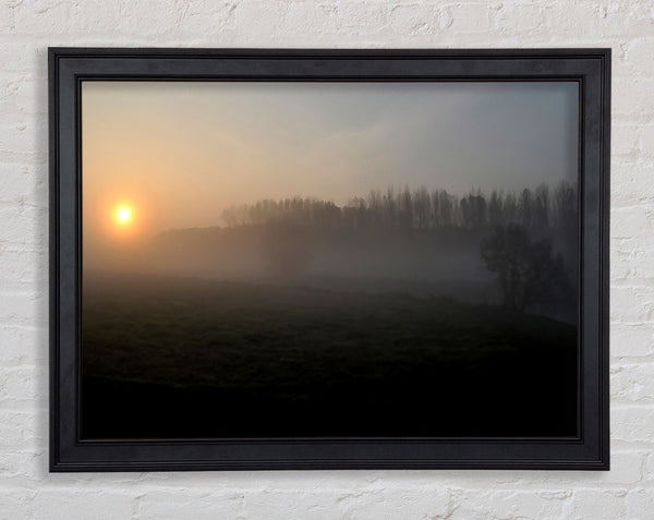Morning Walk Framed Print