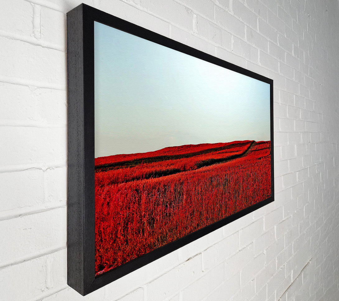  A Canvas Print of Red Meadow Canvas Wall Art