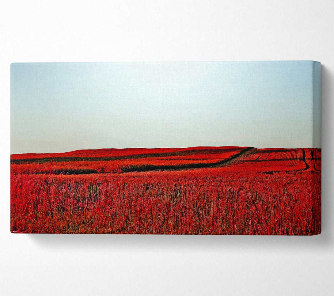  A Canvas Print of Red Meadow Canvas Wall Art