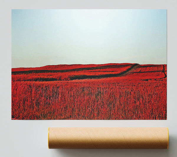 Red Meadow Giclee Print