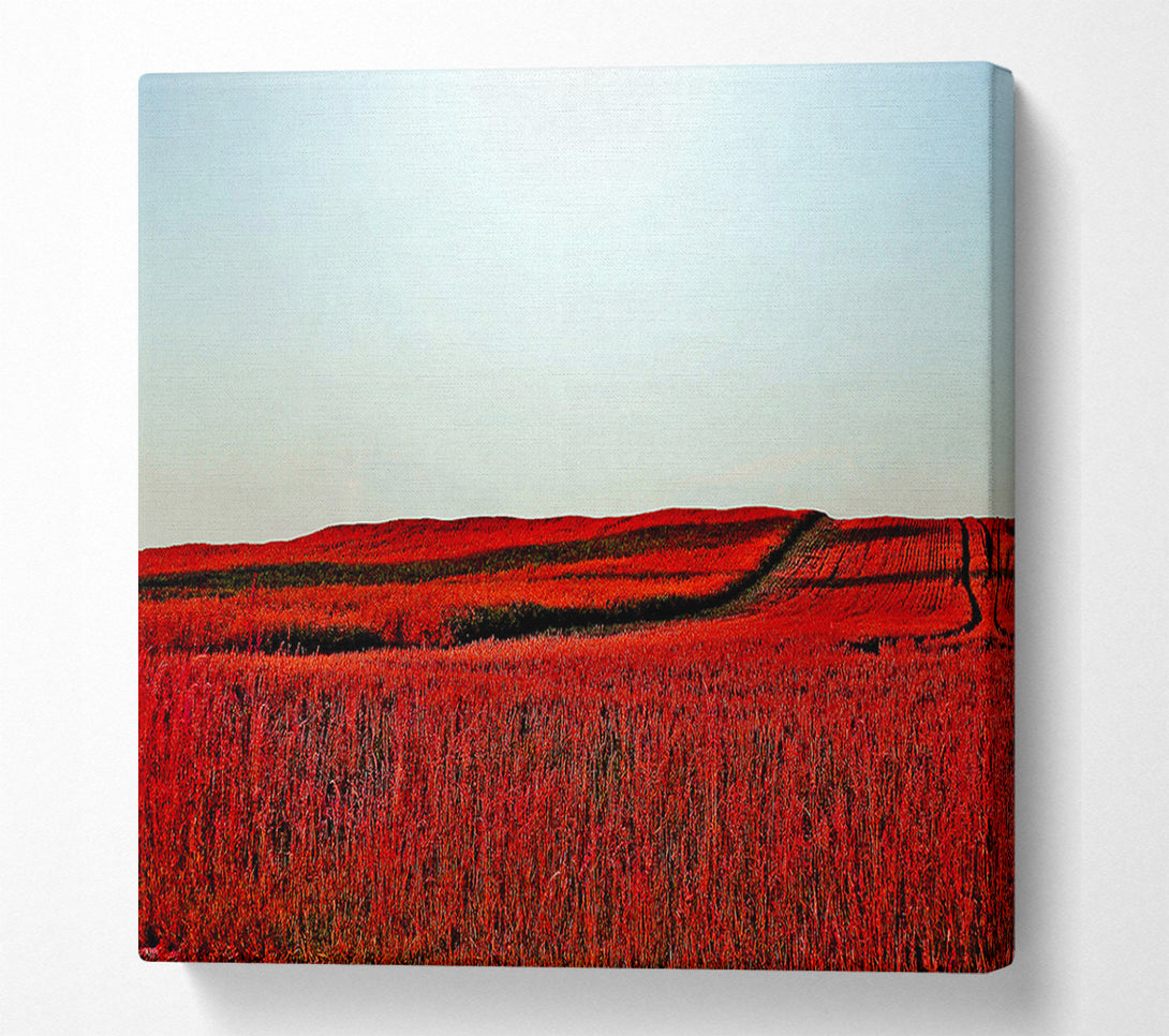  A Canvas Print of Red Meadow Canvas Wall Art