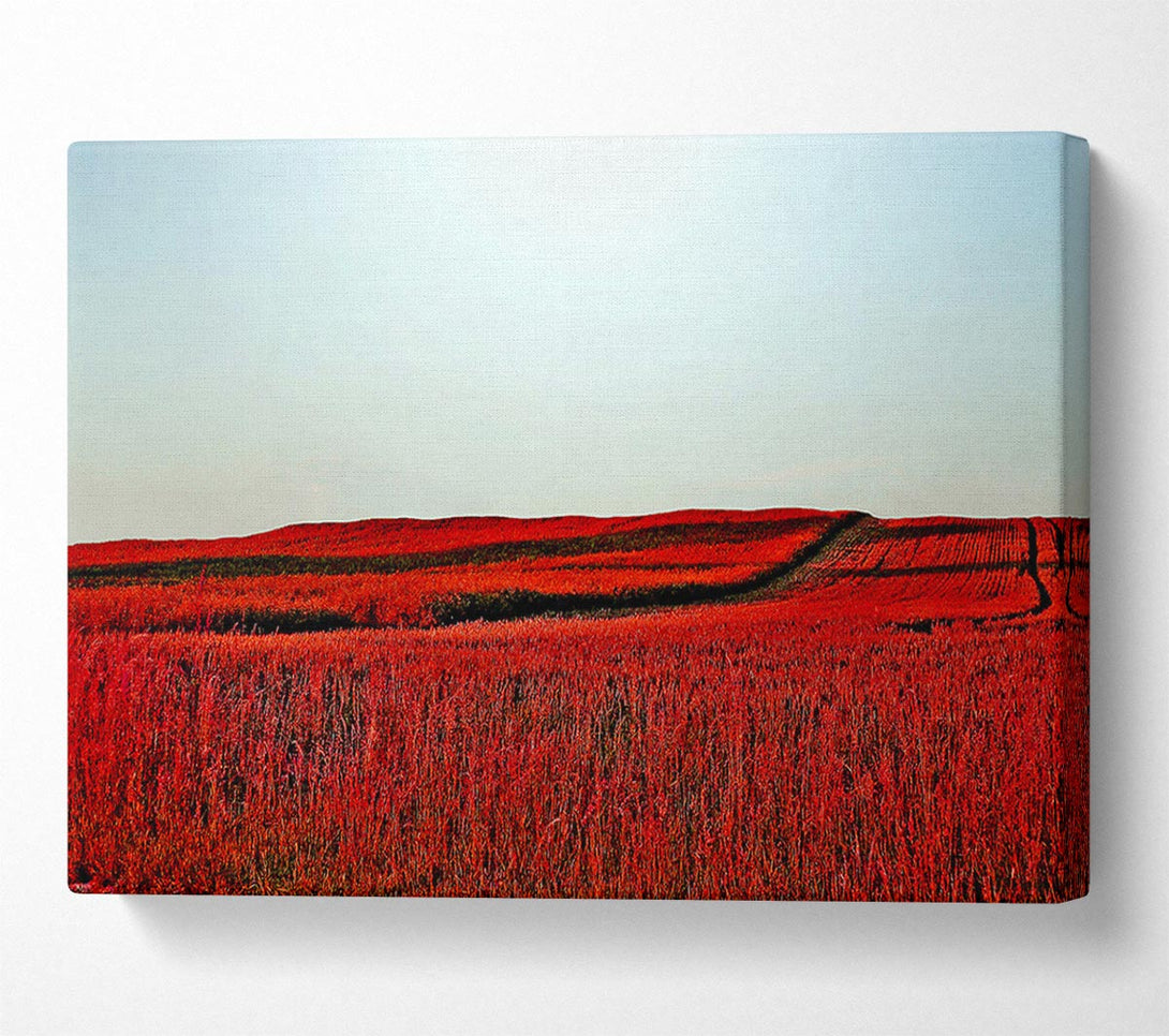 A Canvas Print of Red Meadow Canvas Wall Art