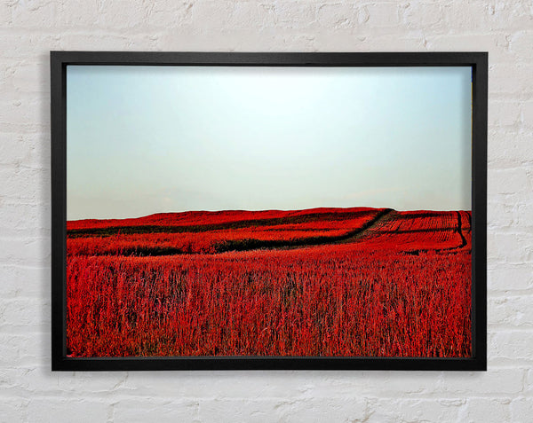 Rote Wiese