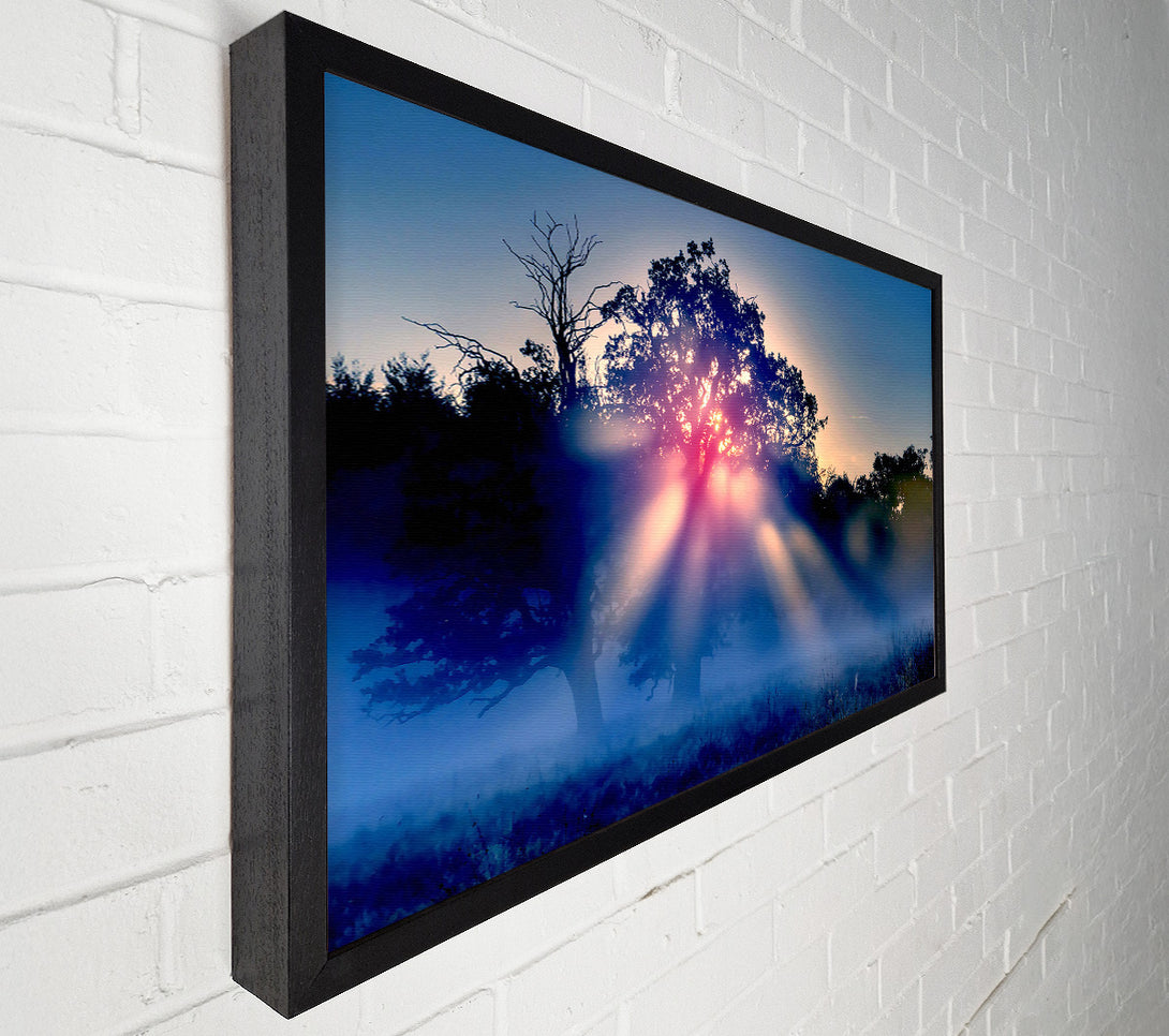  A Canvas Print of Sunset Blaze Canvas Wall Art