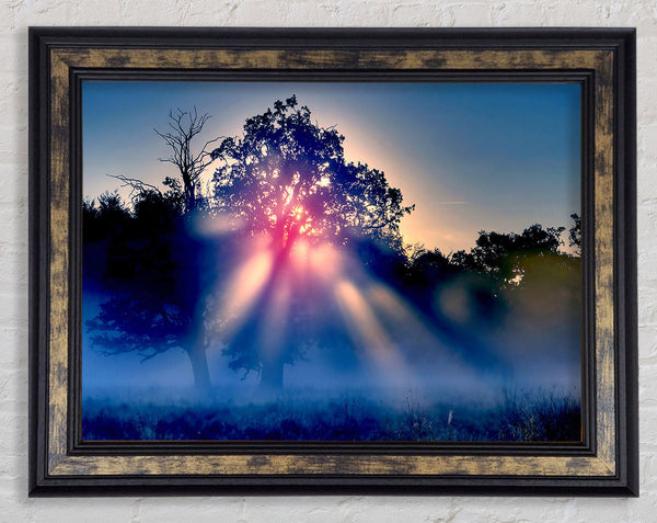 Sunset Blaze Framed Print