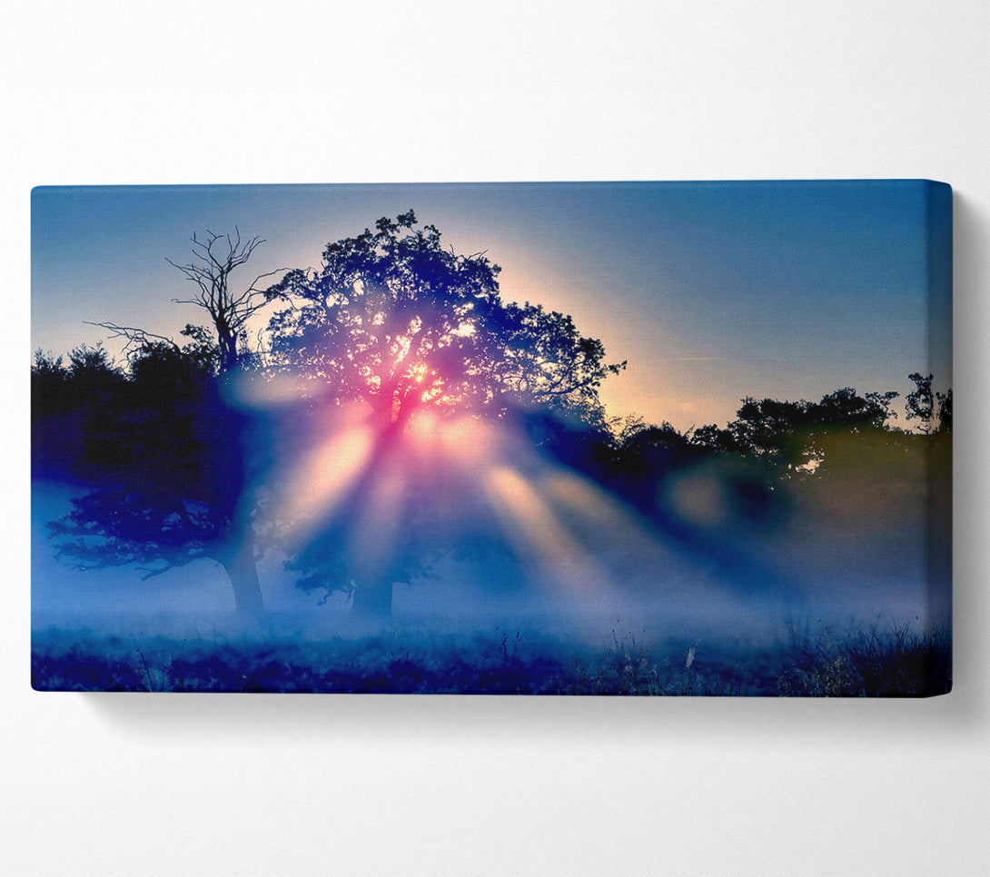  A Canvas Print of Sunset Blaze Canvas Wall Art