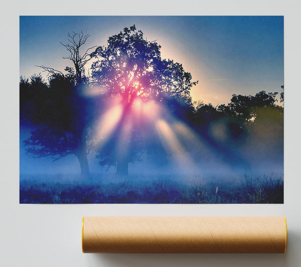 Sunset Blaze Print