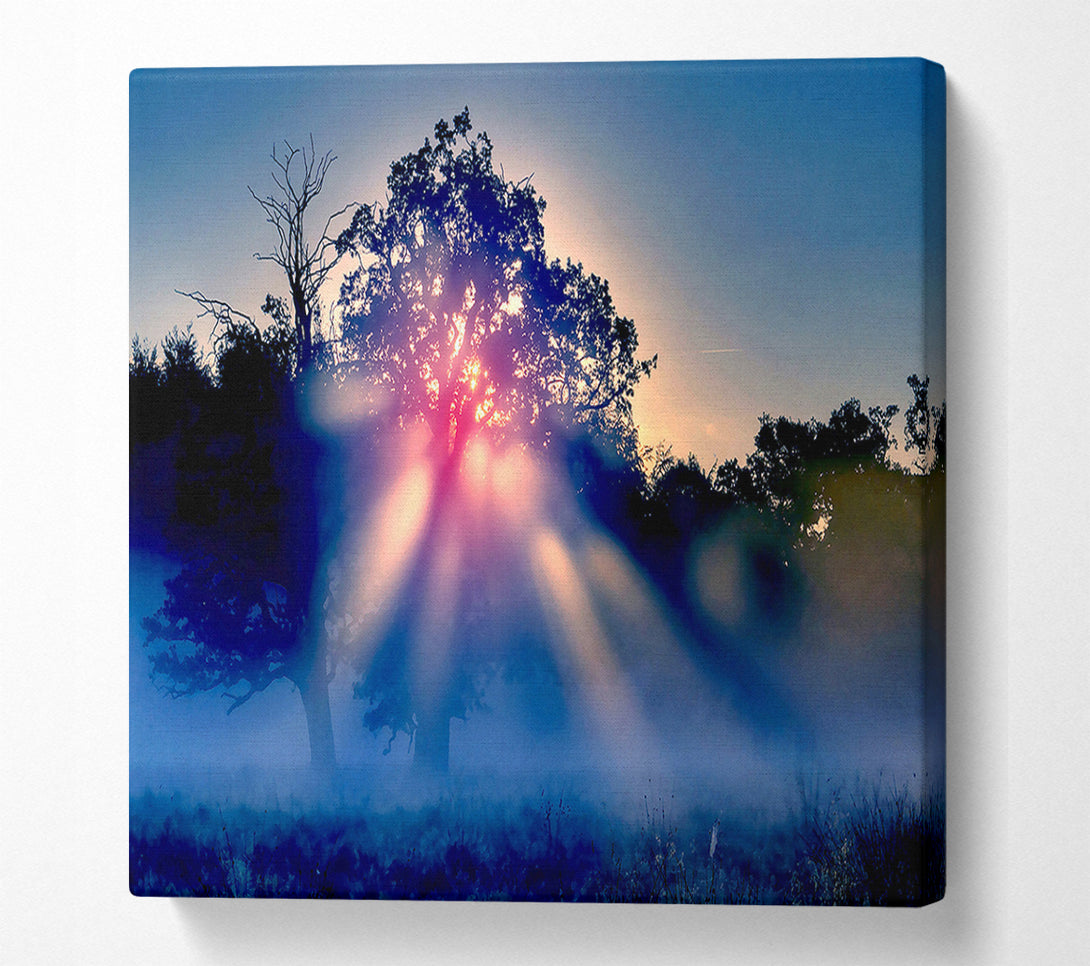  A Canvas Print of Sunset Blaze Canvas Wall Art