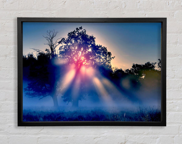 Sunset Blaze Framed Print