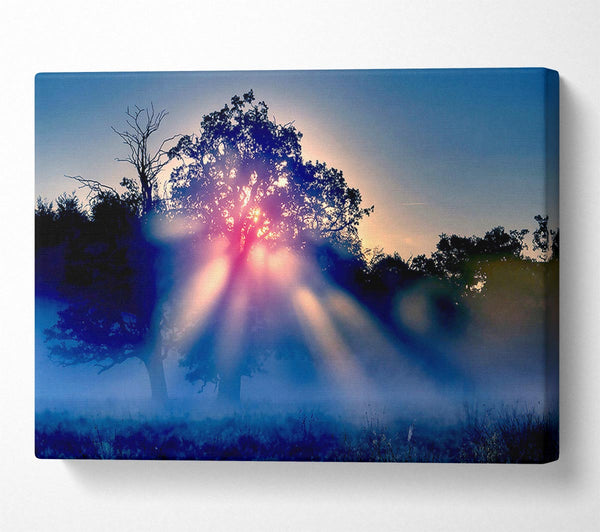  A Canvas Print of Sunset Blaze Canvas Wall Art