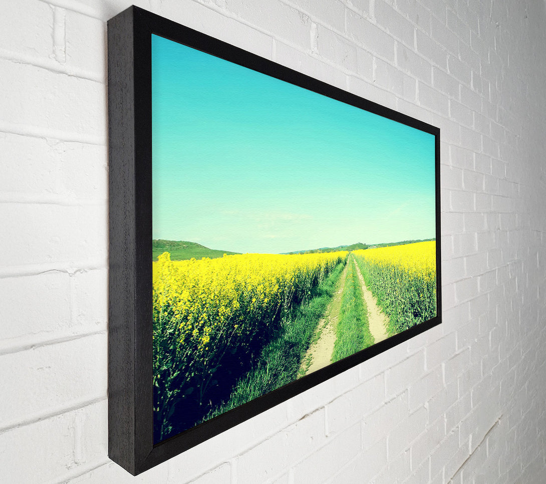  A Canvas Print of Field Road Canvas Print