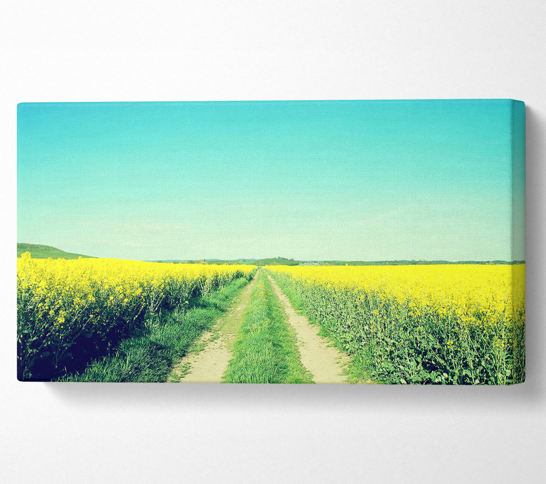  A Canvas Print of Field Road Canvas Print