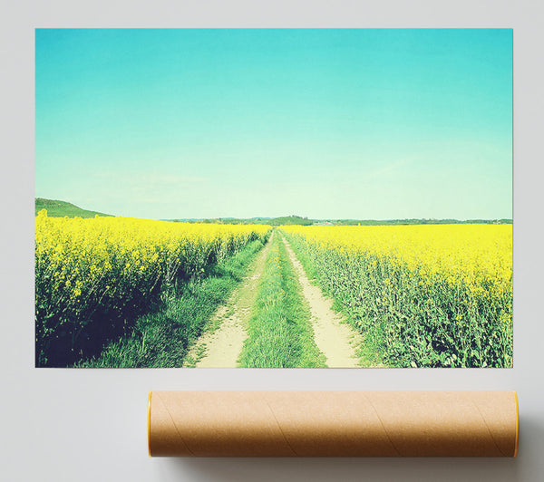 Field Road Giclee Print