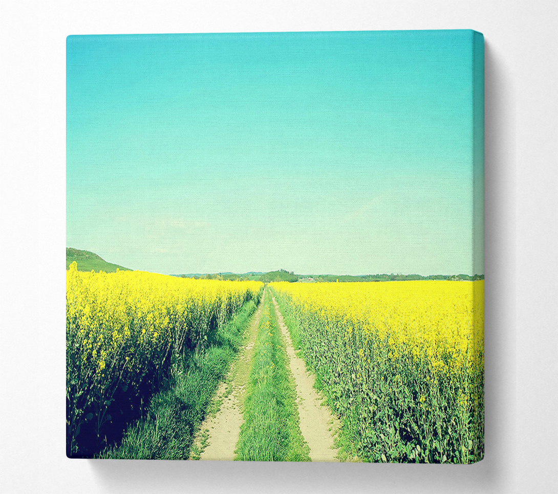  A Canvas Print of Field Road Canvas Print