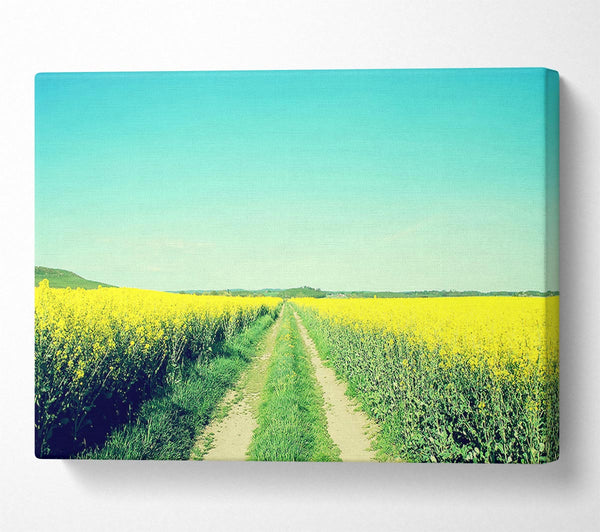  A Canvas Print of Field Road Canvas Print