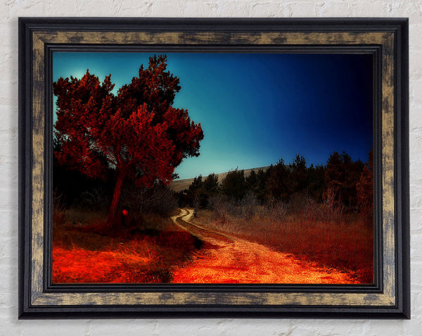 Armenia Secret Place Framed Print