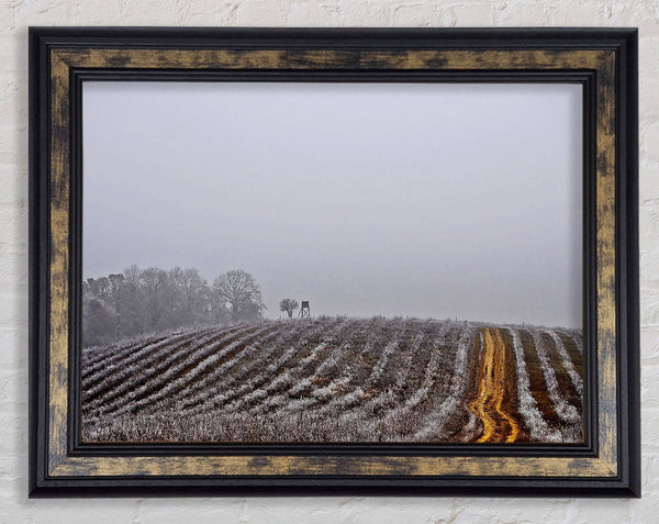 Land Framed Print