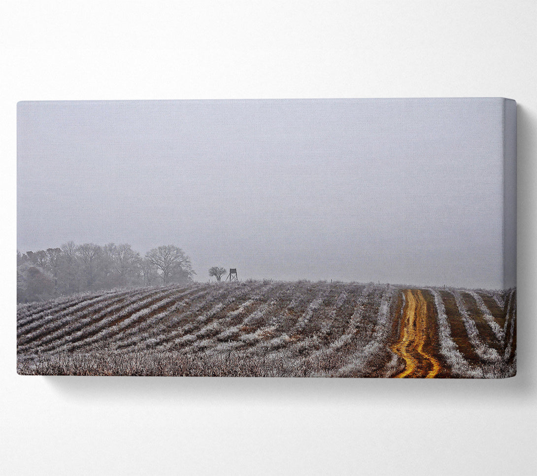  A Canvas Print of Land Canvas Print