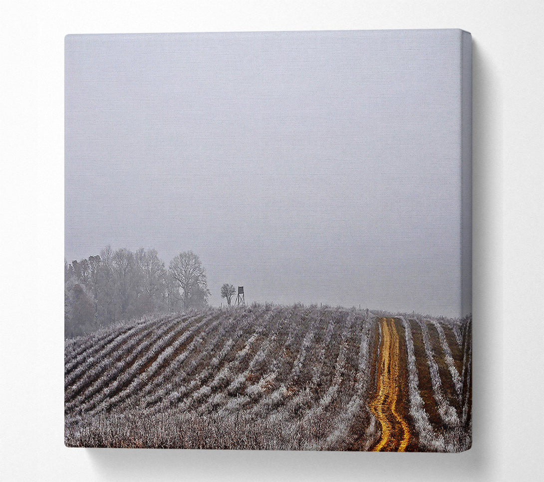  A Canvas Print of Land Canvas Print