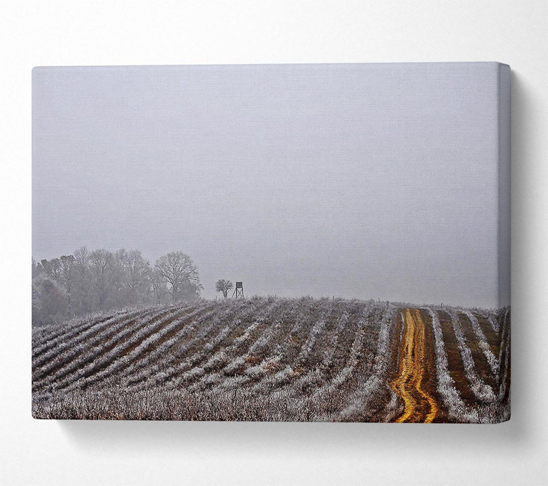  A Canvas Print of Land Canvas Print