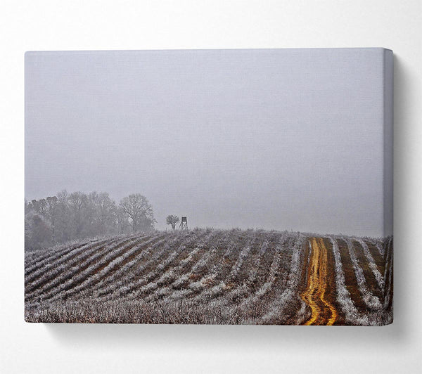  A Canvas Print of Land Canvas Print