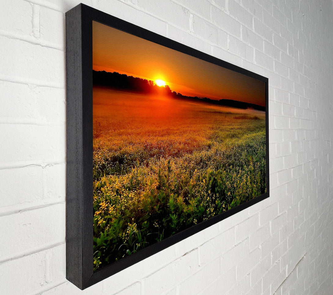  A Canvas Print of Sunset Over The Field Canvas Print