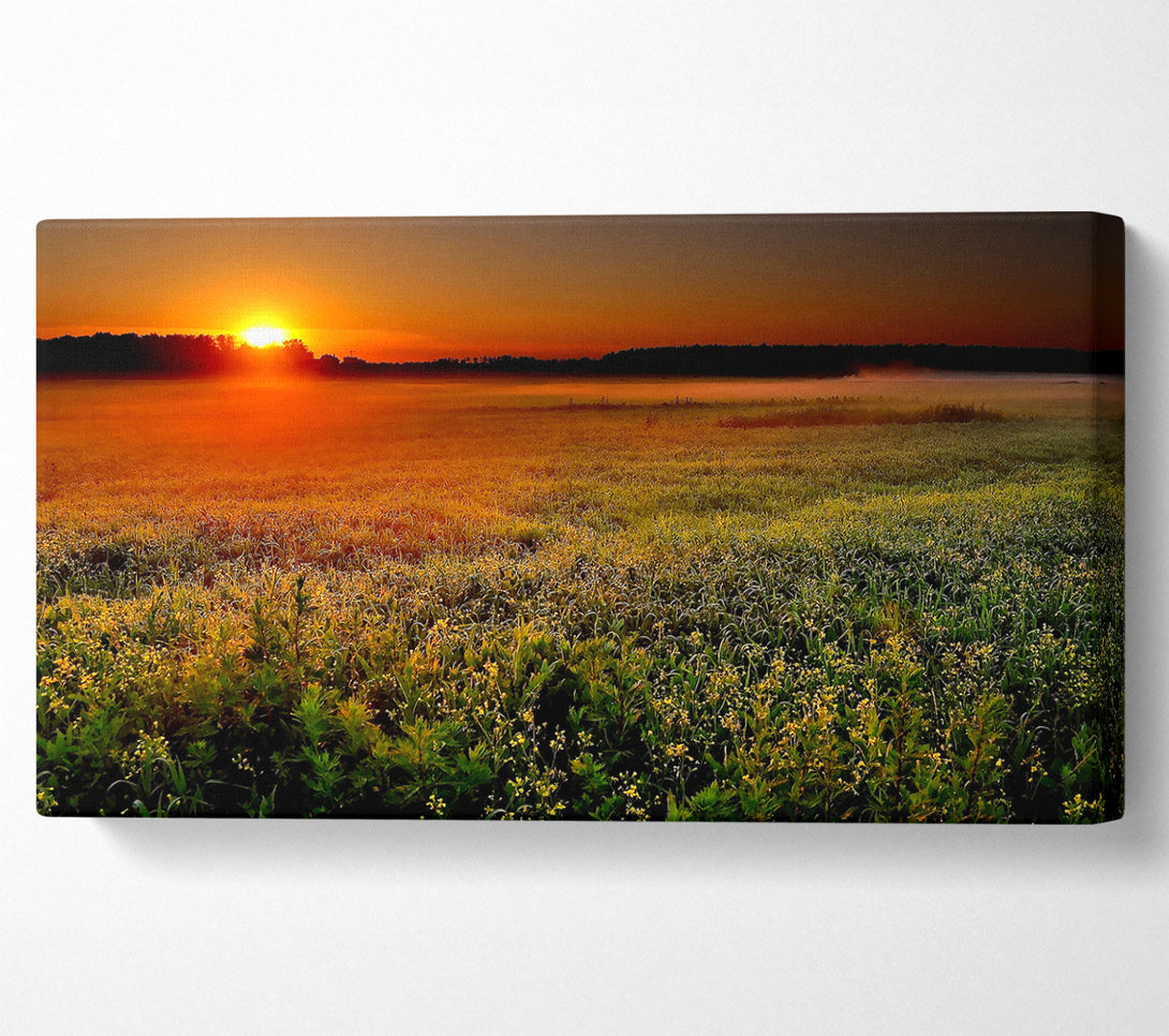  A Canvas Print of Sunset Over The Field Canvas Print