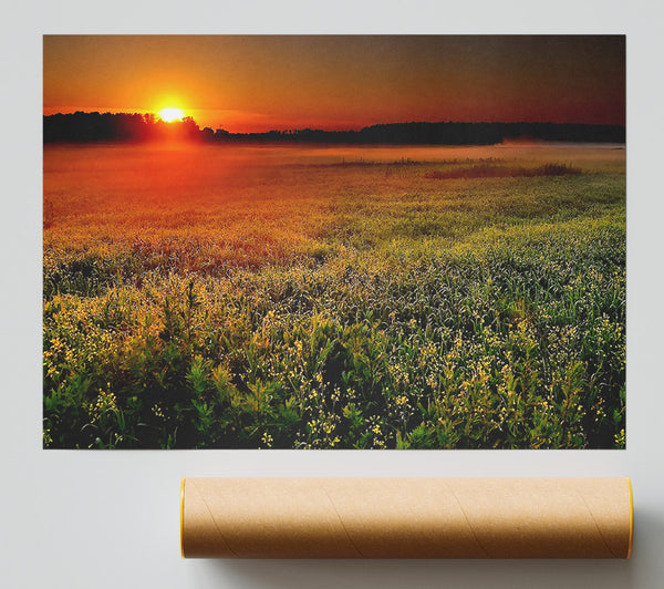 Sunset Over The Field Poster