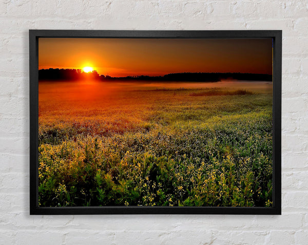 Sunset Over The Field Framed Print