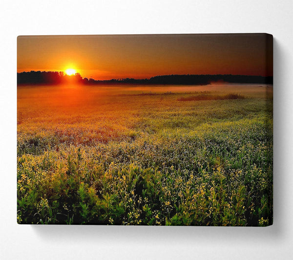  A Canvas Print of Sunset Over The Field Canvas Print