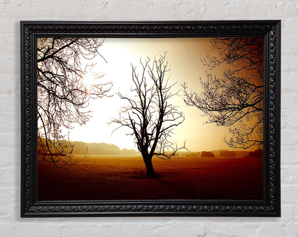 Chocolate Winter Tree Framed Print