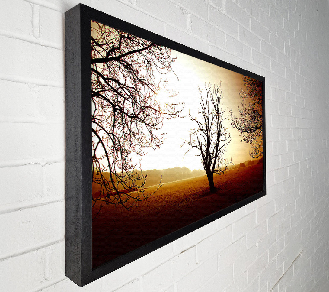  A Canvas Print of Chocolate Winter Tree Canvas Wall Art