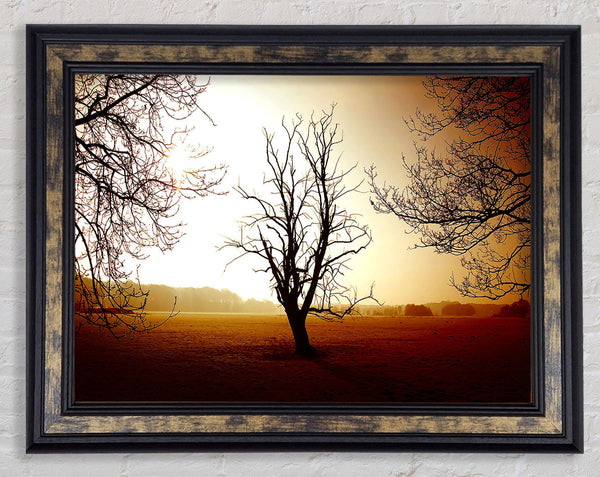 Chocolate Winter Tree Framed Print