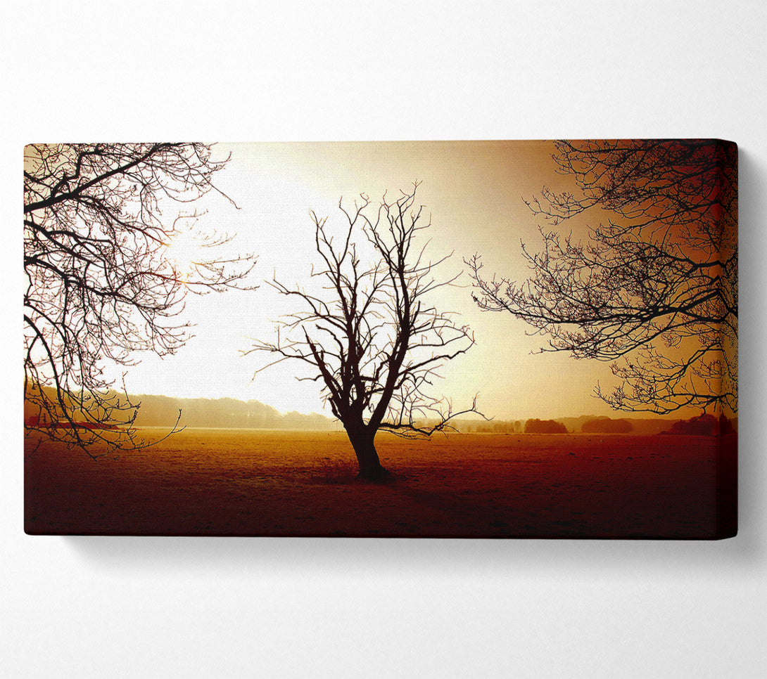  A Canvas Print of Chocolate Winter Tree Canvas Wall Art