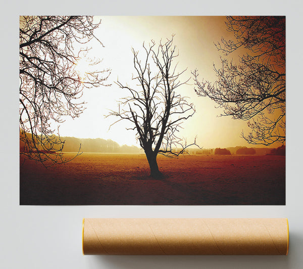 Chocolate Winter Tree Poster