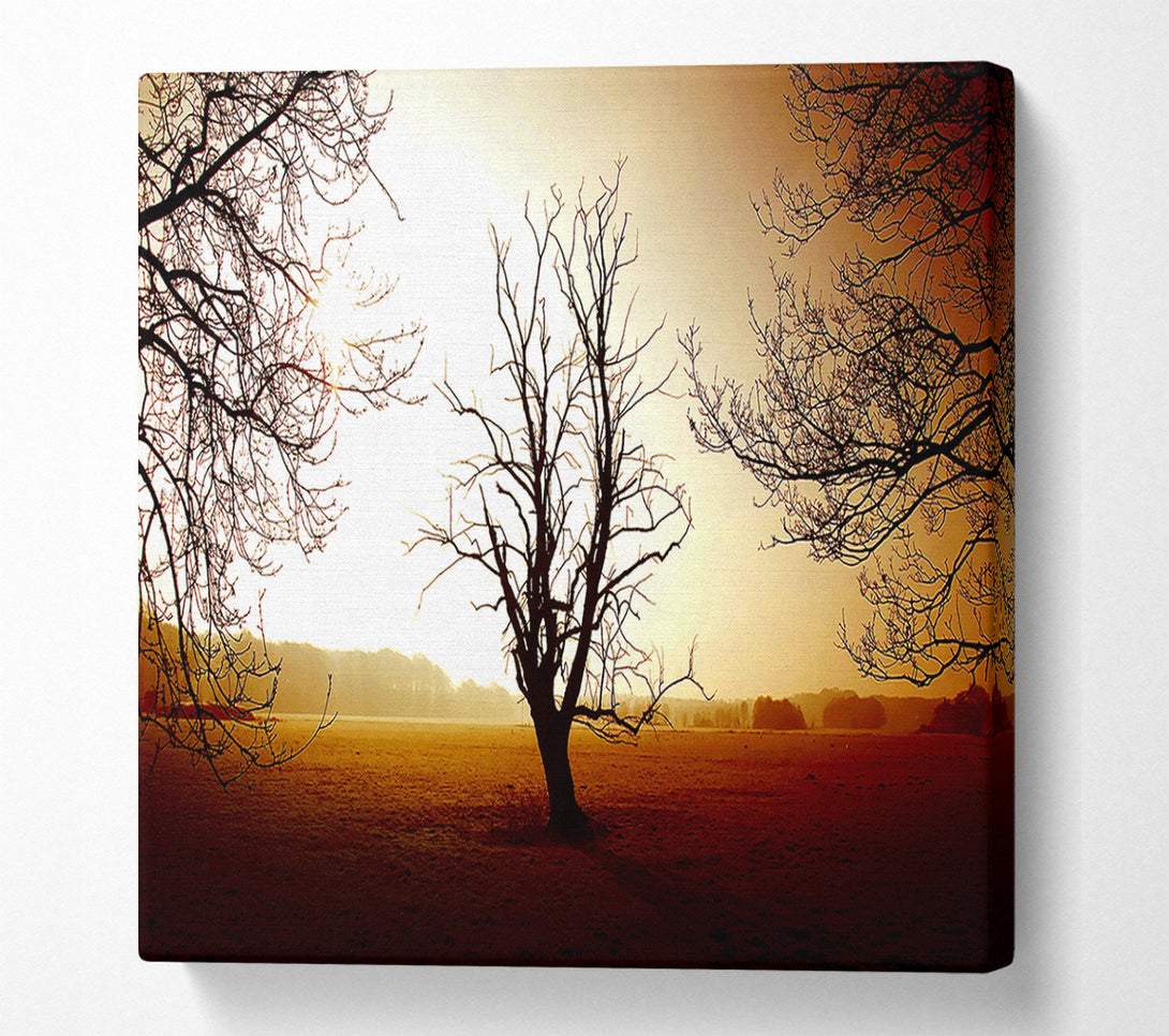 A Canvas Print of Chocolate Winter Tree Canvas Wall Art