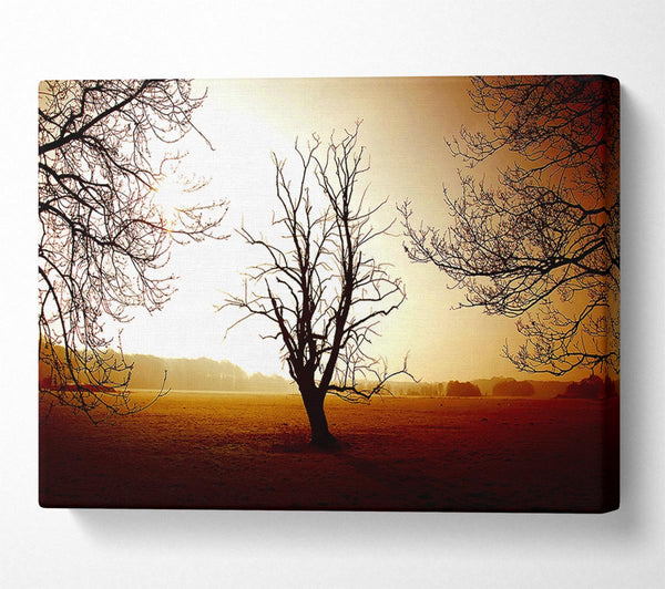  A Canvas Print of Chocolate Winter Tree Canvas Wall Art