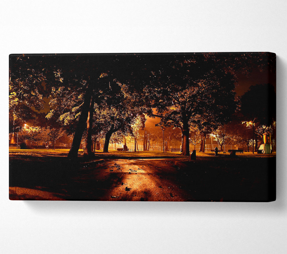  A Canvas Print of Park At Night City Canvas Wall Art