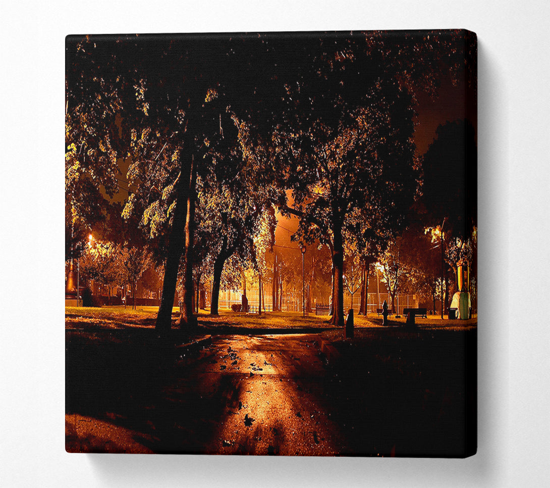  A Canvas Print of Park At Night City Canvas Wall Art