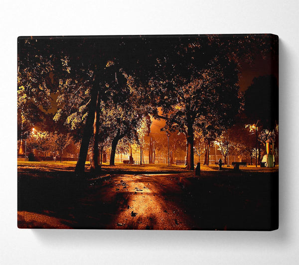  A Canvas Print of Park At Night City Canvas Wall Art