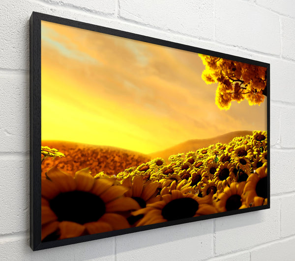 Sun Flower World