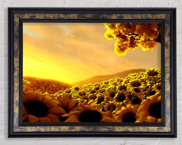 Sun Flower World Framed Print