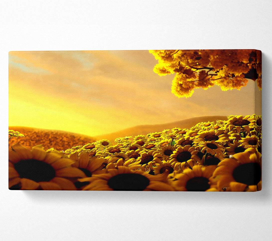  A Canvas Print of Sun Flower World Canvas Wall Art