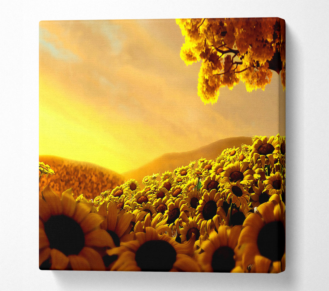  A Canvas Print of Sun Flower World Canvas Wall Art