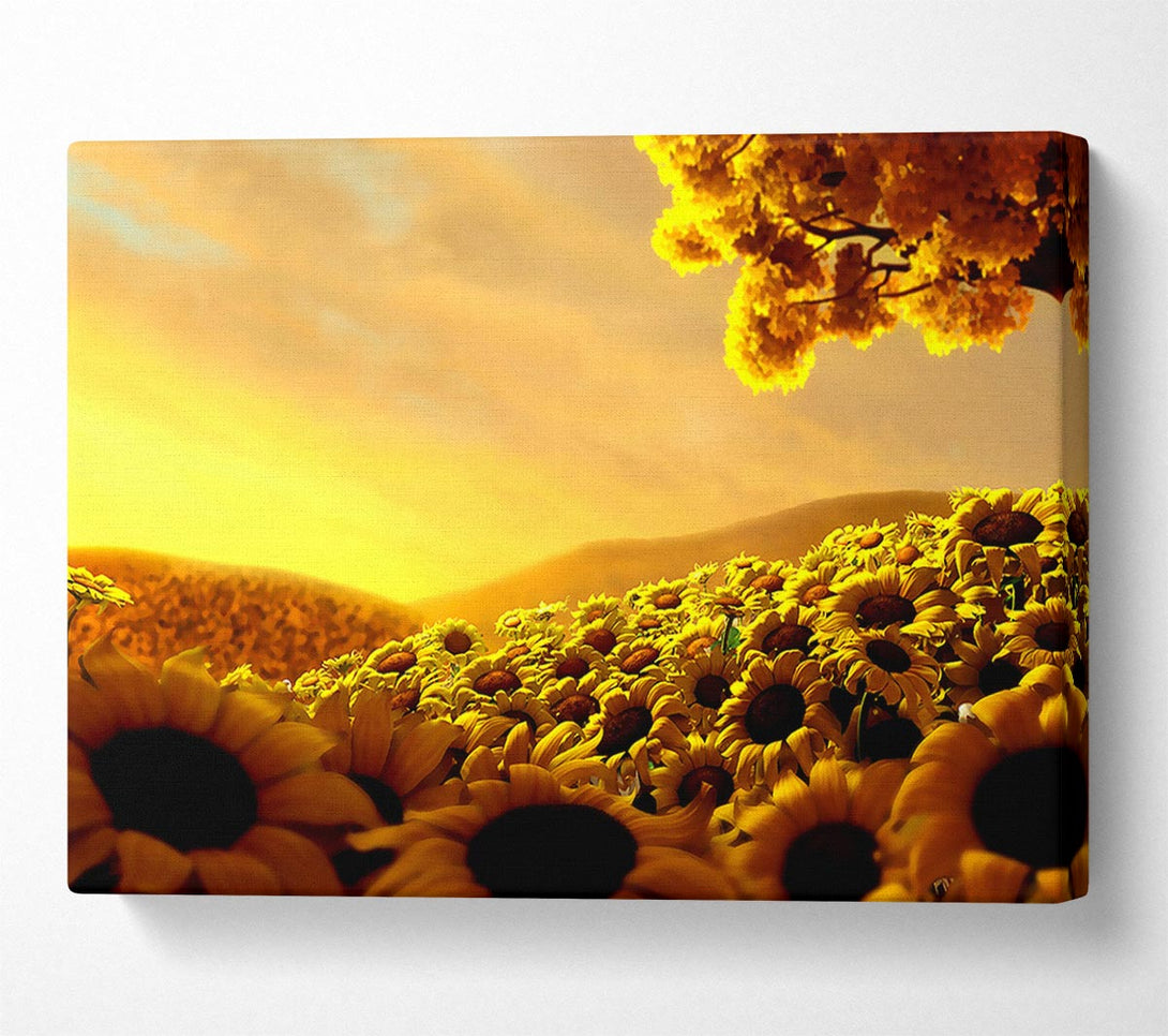  A Canvas Print of Sun Flower World Canvas Wall Art