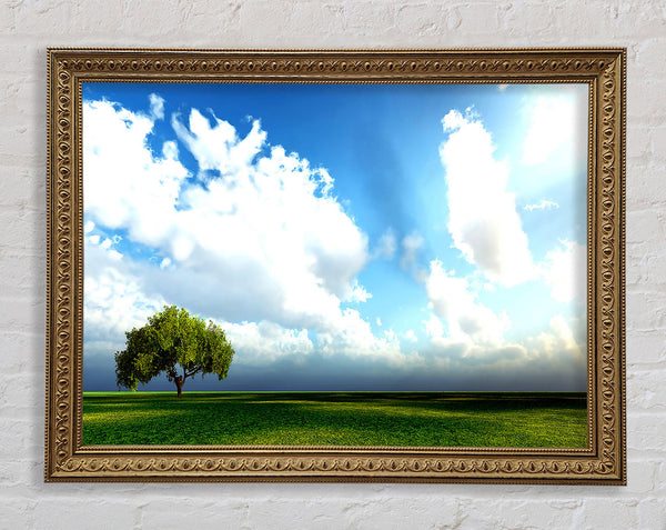 Beauty Of Nature Framed Print