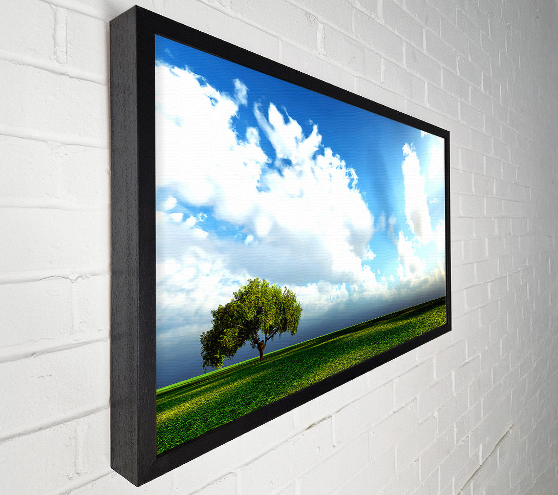  A Canvas Print of Beauty Of Nature Canvas Art