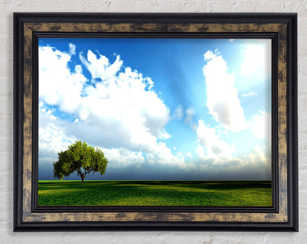 Beauty Of Nature Framed Print